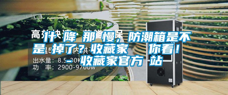 為什麼降濕那麼慢，防潮箱是不是壞掉了？收藏家實測給你看！ - 收藏家官方網(wǎng)站