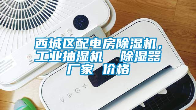 西城區(qū)配電房除濕機(jī)，工業(yè)抽濕機(jī)  除濕器廠家 價格