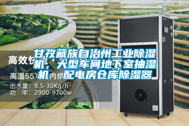 甘孜藏族自治州工業(yè)除濕機，大型車間地下室抽濕機  配電房倉庫除濕器