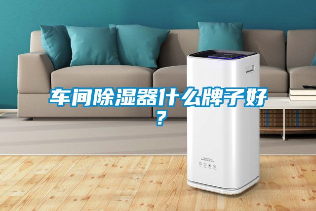 車間除濕器什么牌子好？