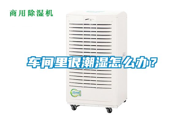 車間里很潮濕怎么辦？