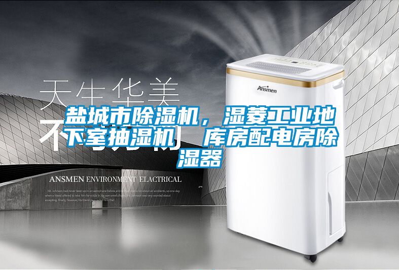 鹽城市除濕機(jī)，濕菱工業(yè)地下室抽濕機(jī)  庫房配電房除濕器