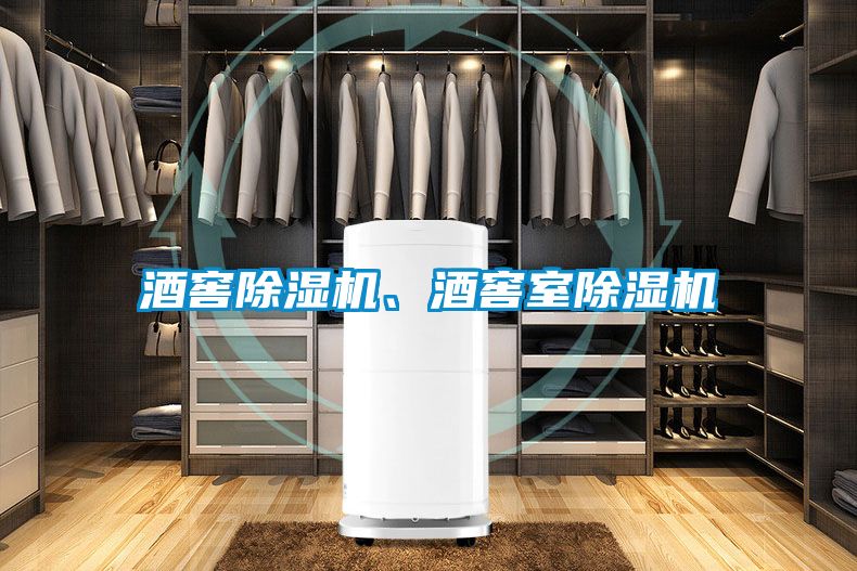 酒窖除濕機(jī)、酒窖室除濕機(jī)