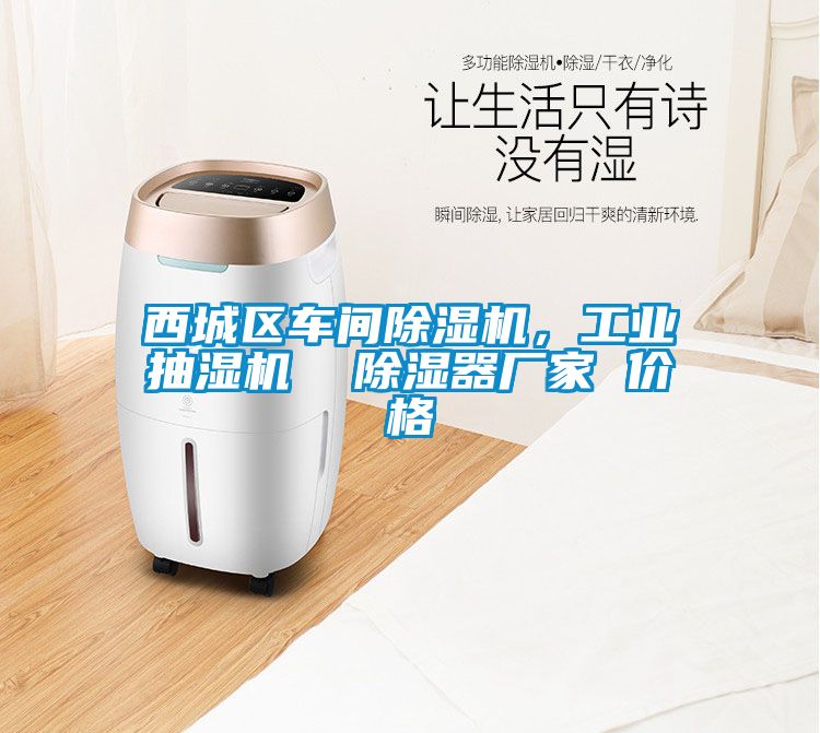 西城區(qū)車間除濕機，工業(yè)抽濕機  除濕器廠家 價格