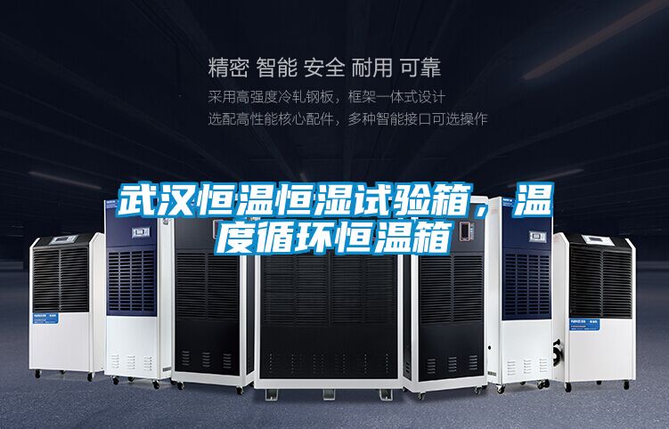 武漢恒溫恒濕試驗箱，溫度循環(huán)恒溫箱