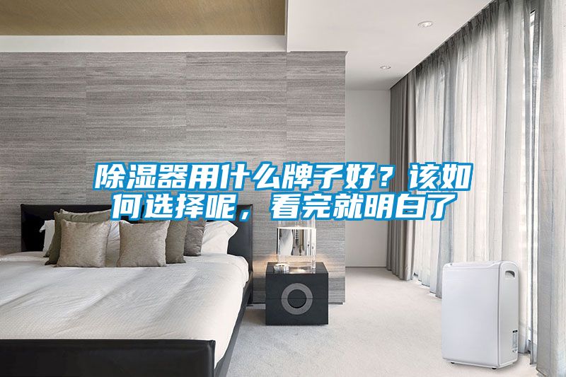 除濕器用什么牌子好？該如何選擇呢，看完就明白了