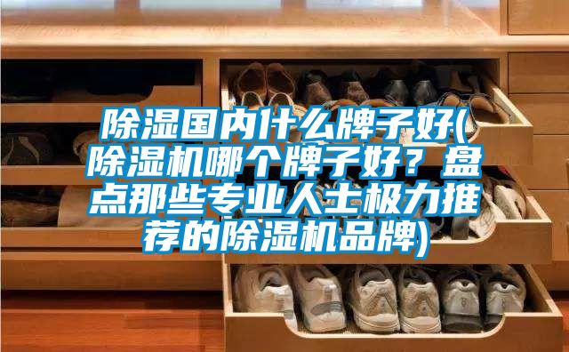 除濕國內(nèi)什么牌子好(除濕機(jī)哪個(gè)牌子好？盤點(diǎn)那些專業(yè)人士極力推薦的除濕機(jī)品牌)