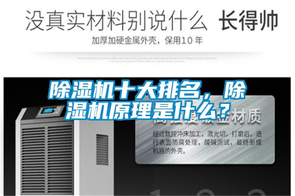 除濕機(jī)十大排名，除濕機(jī)原理是什么？