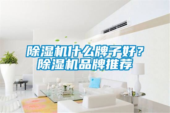 除濕機(jī)什么牌子好？除濕機(jī)品牌推薦