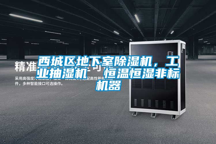 西城區(qū)地下室除濕機(jī)，工業(yè)抽濕機(jī)  恒溫恒濕非標(biāo)機(jī)器