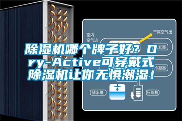 除濕機(jī)哪個(gè)牌子好？Dry-Active可穿戴式除濕機(jī)讓你無(wú)懼潮濕！