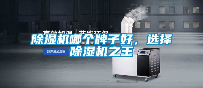 除濕機(jī)哪個(gè)牌子好，選擇除濕機(jī)之王
