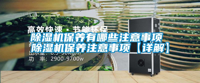 除濕機保養(yǎng)有哪些注意事項 除濕機保養(yǎng)注意事項【詳解】