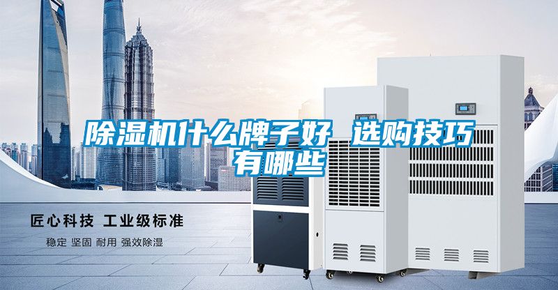 除濕機(jī)什么牌子好 選購(gòu)技巧有哪些
