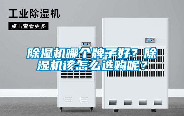除濕機(jī)哪個(gè)牌子好？除濕機(jī)該怎么選購呢？