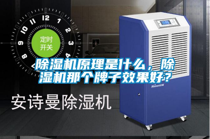 除濕機原理是什么，除濕機那個牌子效果好？