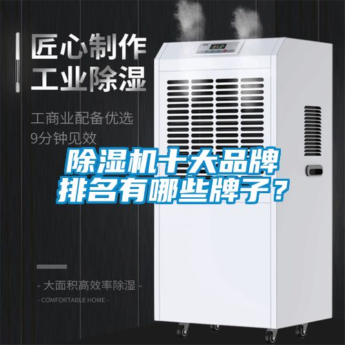 除濕機十大品牌排名有哪些牌子？