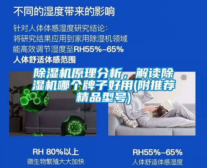 除濕機(jī)原理分析，解讀除濕機(jī)哪個(gè)牌子好用(附推薦精品型號(hào))