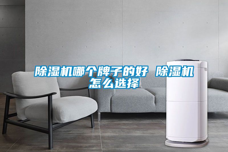 除濕機(jī)哪個牌子的好 除濕機(jī)怎么選擇