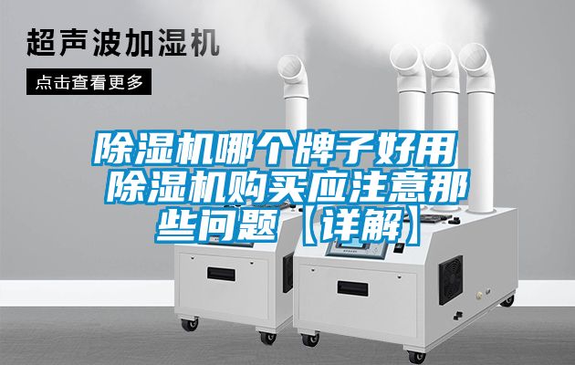 除濕機(jī)哪個(gè)牌子好用 除濕機(jī)購(gòu)買應(yīng)注意那些問(wèn)題【詳解】