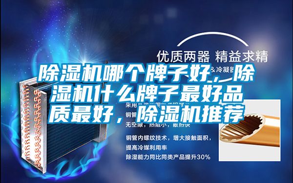 除濕機(jī)哪個(gè)牌子好，除濕機(jī)什么牌子最好品質(zhì)最好，除濕機(jī)推薦