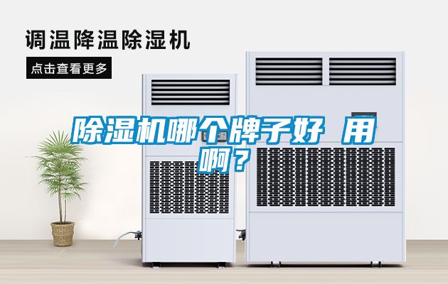 除濕機(jī)哪個(gè)牌子好 用??？