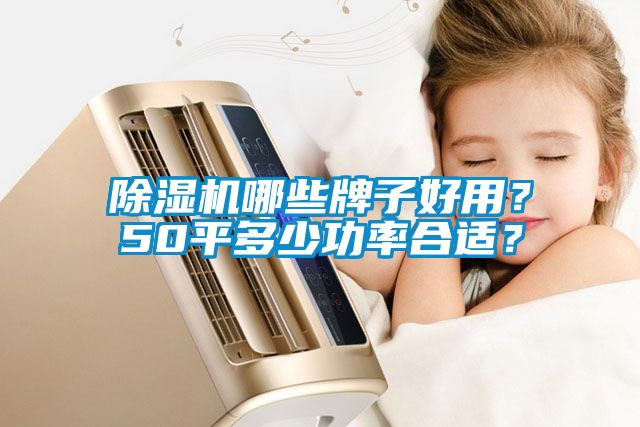除濕機哪些牌子好用？50平多少功率合適？