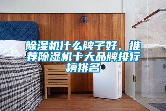 除濕機(jī)什么牌子好，推薦除濕機(jī)十大品牌排行榜排名