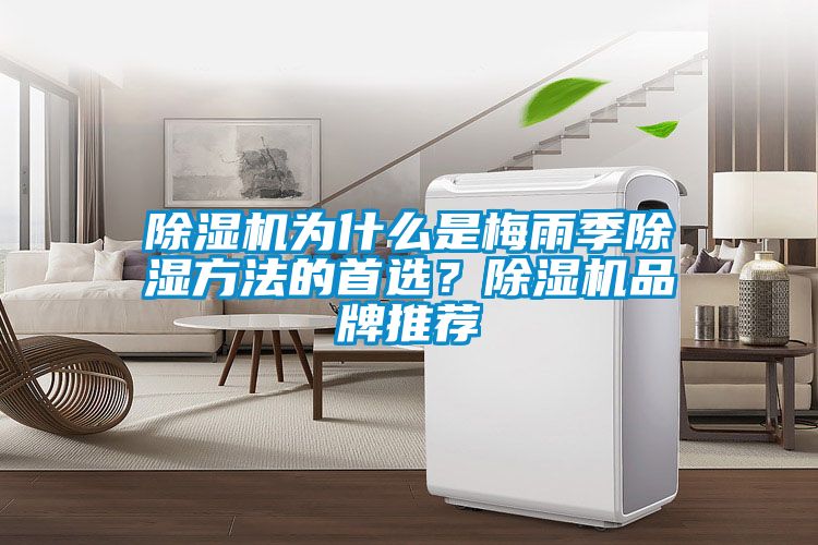 除濕機(jī)為什么是梅雨季除濕方法的首選？除濕機(jī)品牌推薦