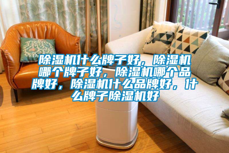 除濕機(jī)什么牌子好，除濕機(jī)哪個(gè)牌子好，除濕機(jī)哪個(gè)品牌好，除濕機(jī)什么品牌好，什么牌子除濕機(jī)好