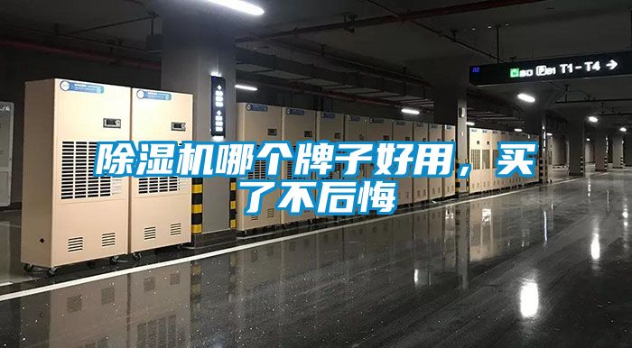 除濕機(jī)哪個(gè)牌子好用，買了不后悔