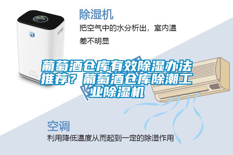 葡萄酒倉(cāng)庫(kù)有效除濕辦法推薦？葡萄酒倉(cāng)庫(kù)除潮工業(yè)除濕機(jī)