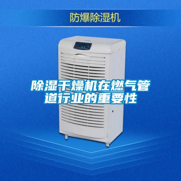 除濕干燥機在燃氣管道行業(yè)的重要性