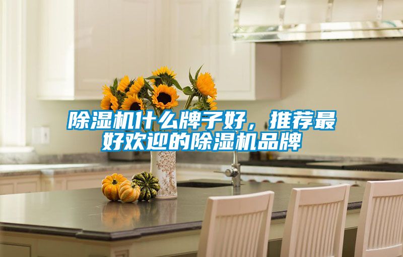除濕機(jī)什么牌子好，推薦最好歡迎的除濕機(jī)品牌