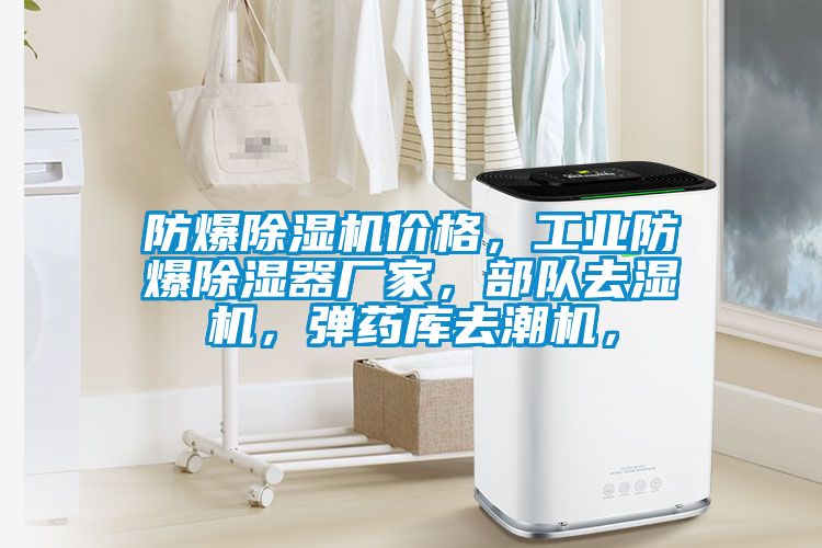 防爆除濕機價格，工業(yè)防爆除濕器廠家，部隊去濕機，彈藥庫去潮機，