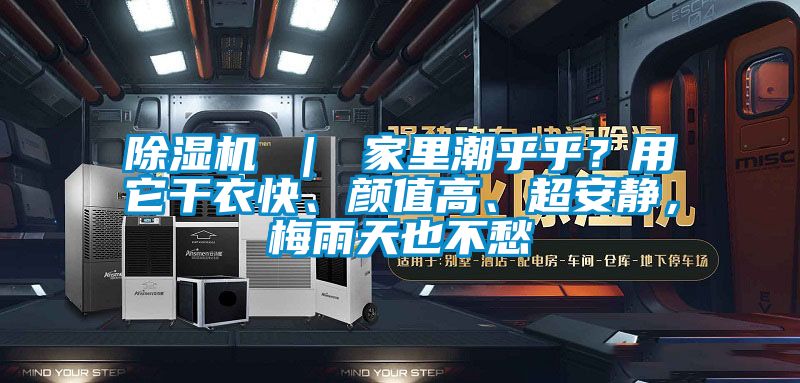 除濕機(jī) ｜ 家里潮乎乎？用它干衣快、顏值高、超安靜，梅雨天也不愁