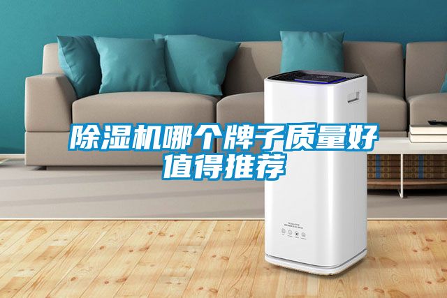 除濕機(jī)哪個牌子質(zhì)量好值得推薦