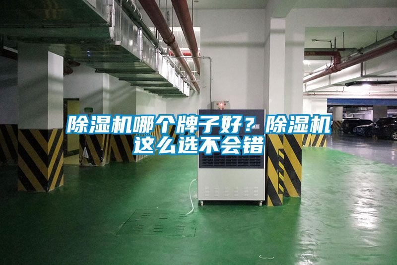 除濕機(jī)哪個牌子好？除濕機(jī)這么選不會錯