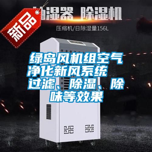 綠島風(fēng)機(jī)組空氣凈化新風(fēng)系統(tǒng)  過(guò)濾、除濕、除味等效果