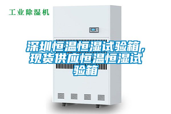深圳恒溫恒濕試驗(yàn)箱，現(xiàn)貨供應(yīng)恒溫恒濕試驗(yàn)箱