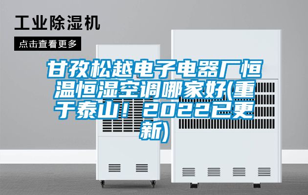 甘孜松越電子電器廠恒溫恒濕空調(diào)哪家好(重于泰山！2022已更新)