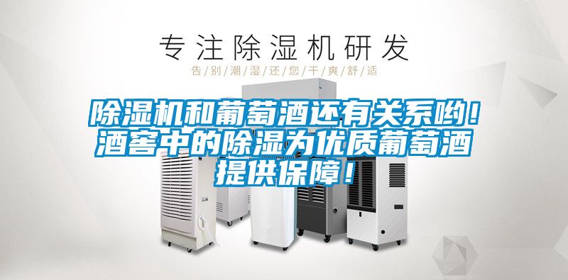 除濕機和葡萄酒還有關系喲！酒窖中的除濕為優(yōu)質葡萄酒提供保障！