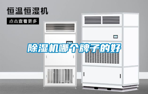 除濕機(jī)哪個牌子的好