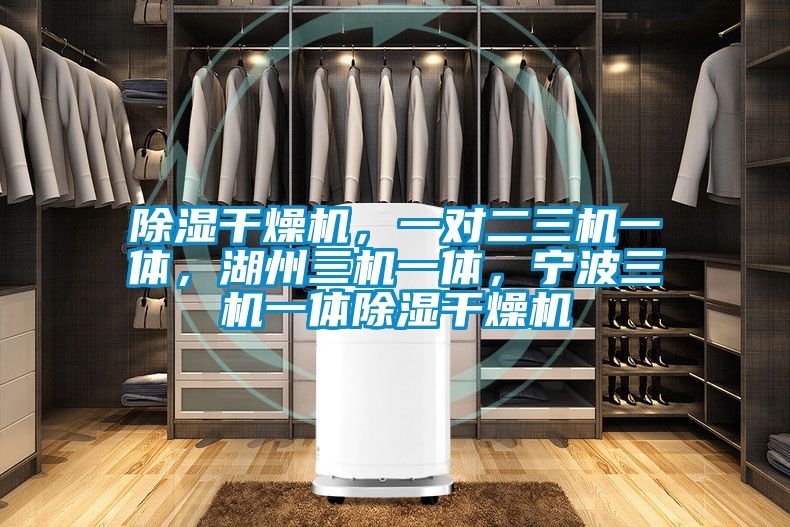 除濕干燥機，一對二三機一體，湖州三機一體，寧波三機一體除濕干燥機