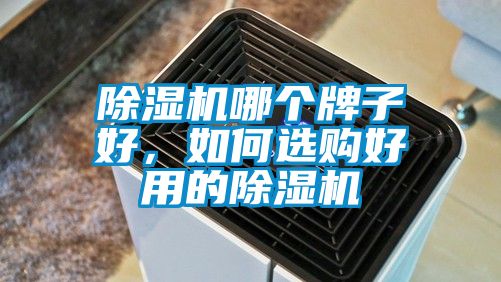 除濕機(jī)哪個(gè)牌子好，如何選購(gòu)好用的除濕機(jī)