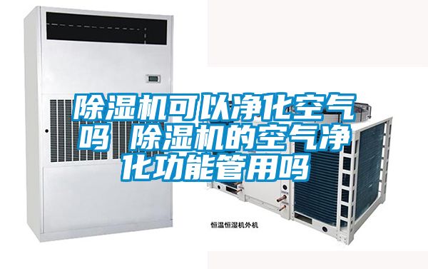 除濕機(jī)可以凈化空氣嗎 除濕機(jī)的空氣凈化功能管用嗎