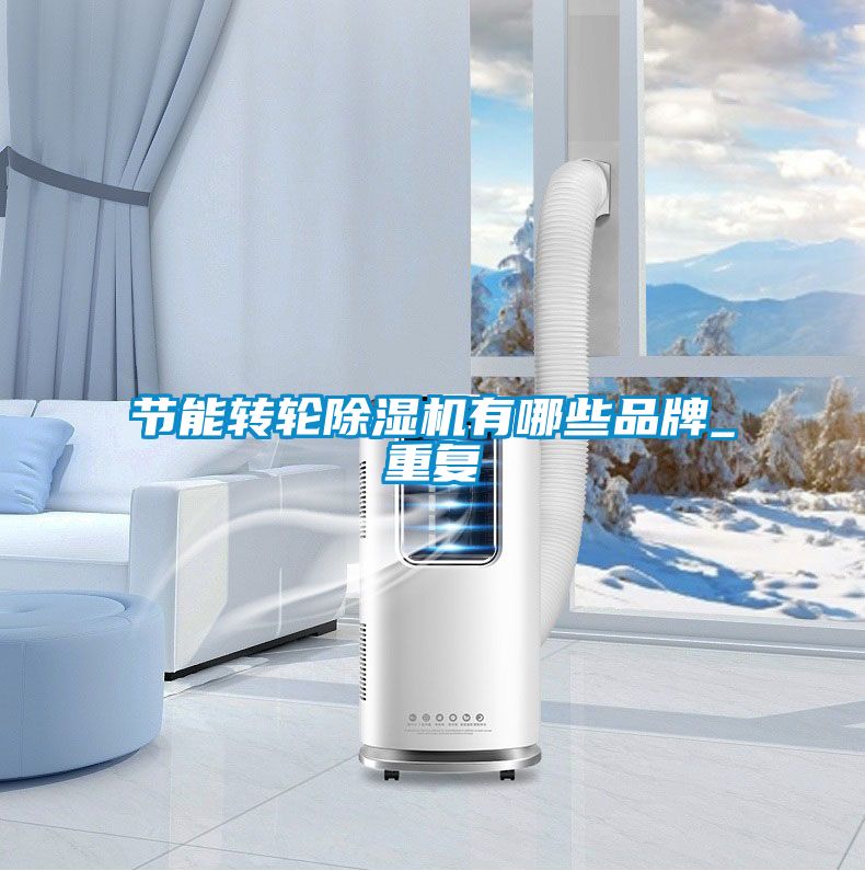 節(jié)能轉(zhuǎn)輪除濕機有哪些品牌_重復