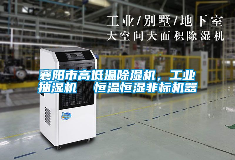 襄陽市高低溫除濕機，工業(yè)抽濕機  恒溫恒濕非標機器