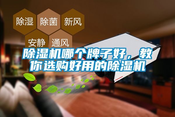 除濕機(jī)哪個(gè)牌子好，教你選購(gòu)好用的除濕機(jī)