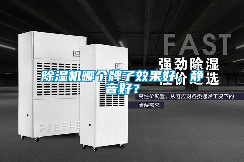 除濕機哪個牌子效果好，靜音好？
